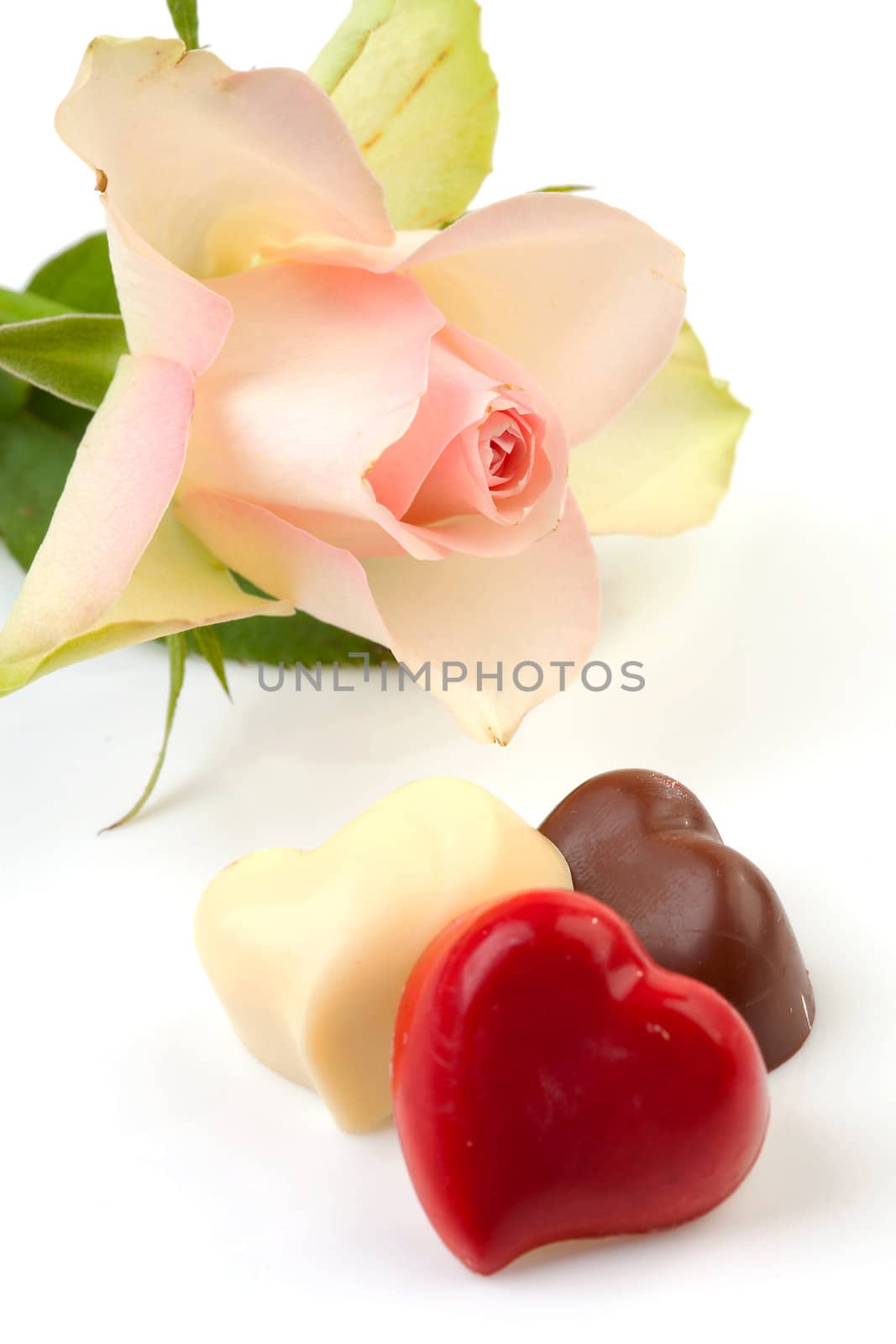 chocolates in shape of hearts with pink rose isolated on white background