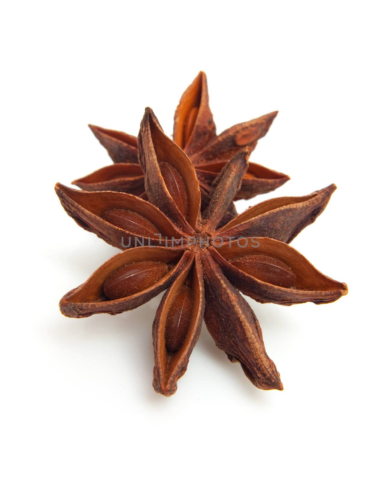 two whole star anise in closeup over white background