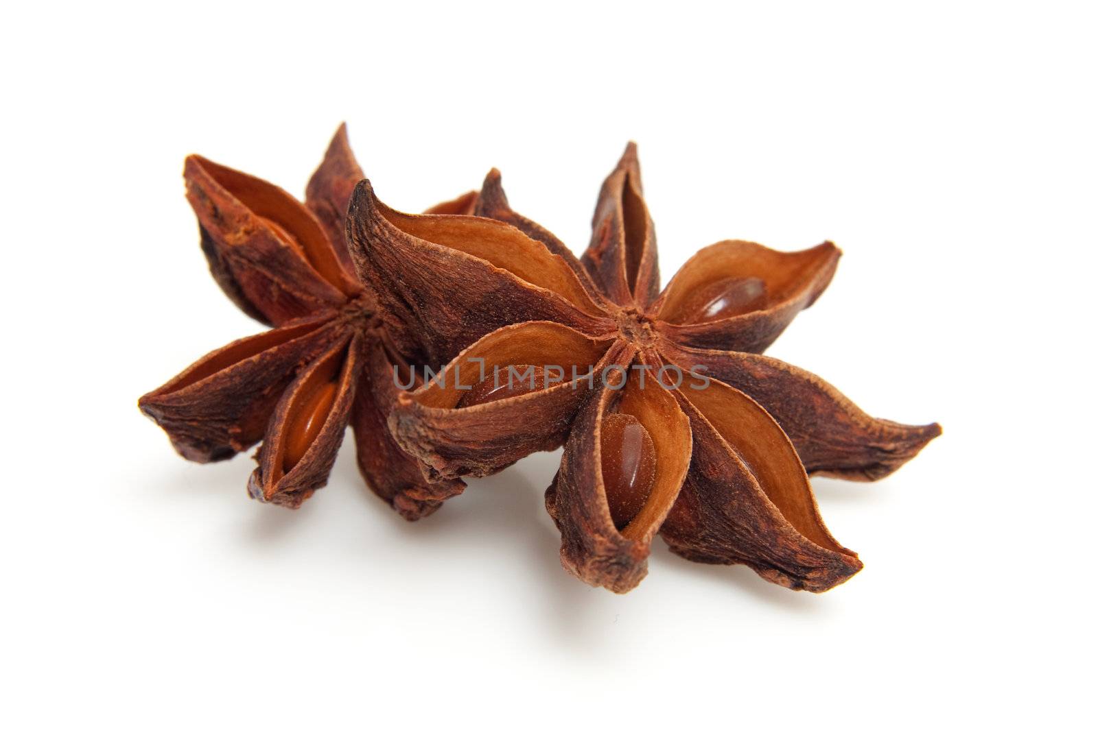 two whole star anise in closeup over white background