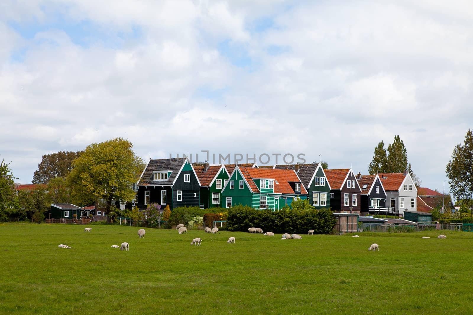 View over typical Dutch houses in the village Marken, the Netherlands