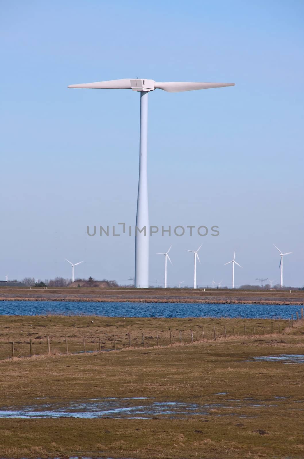 Dutch windmills in a field near zeewolde