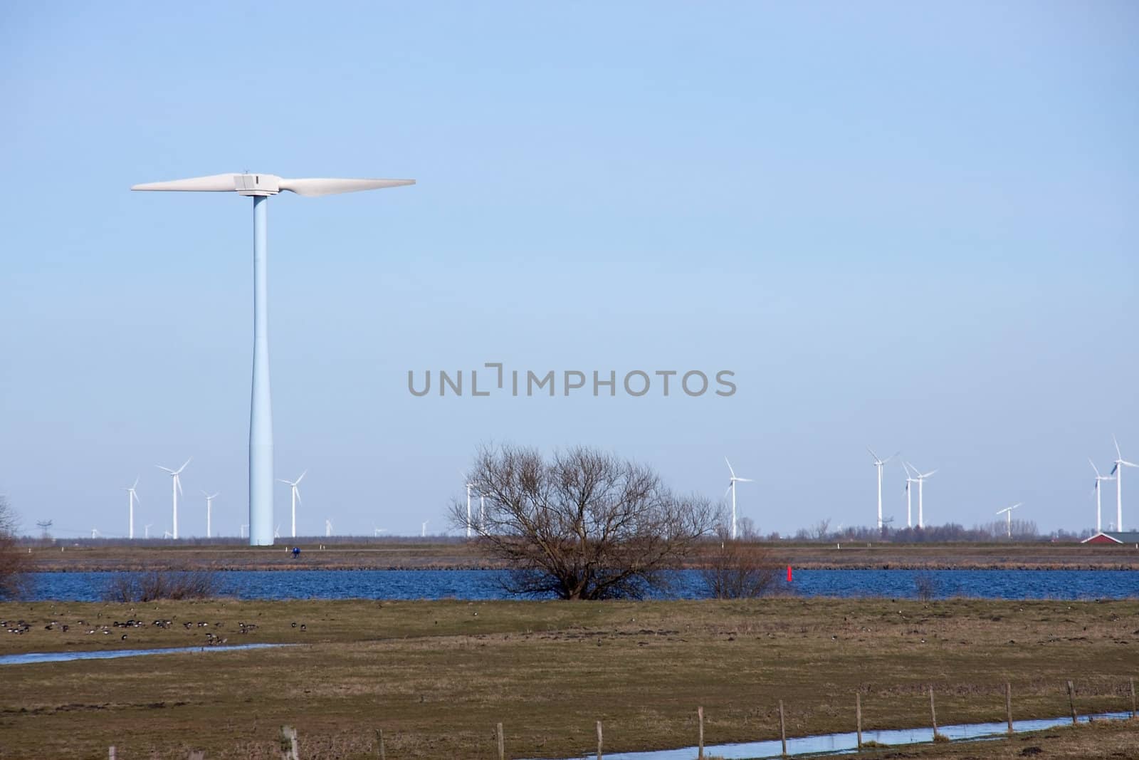Dutch windmills in a field near zeewolde