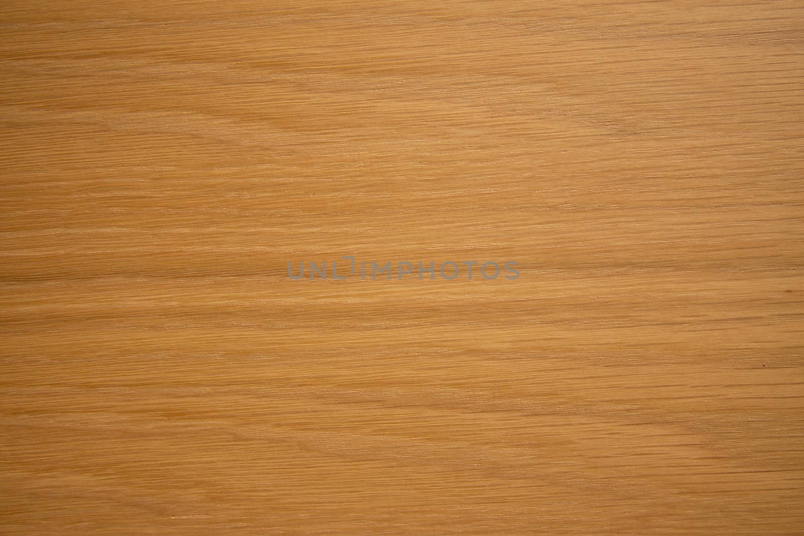 wood texture in closeup can be used as background