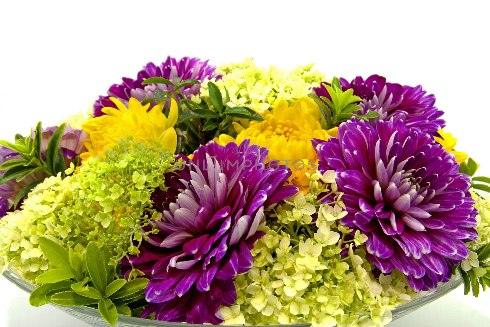 flower arrangement with Dahlia over white background