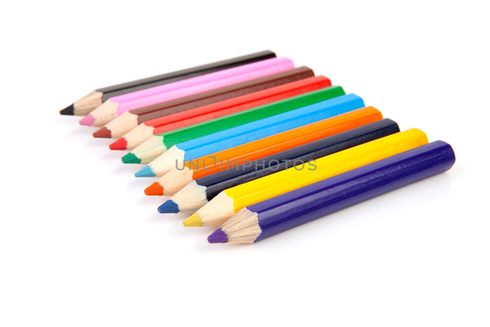 colorful pencils in a row isolated on white background