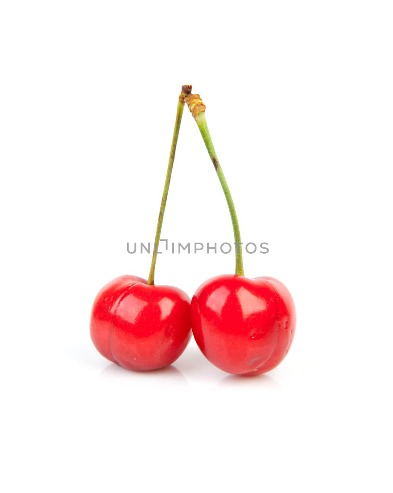 two fresh red cherries isolated on white background