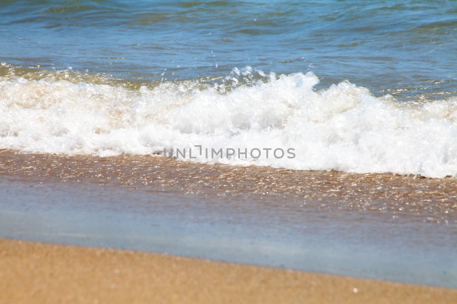 wave on the Mediterranean coast in closeup