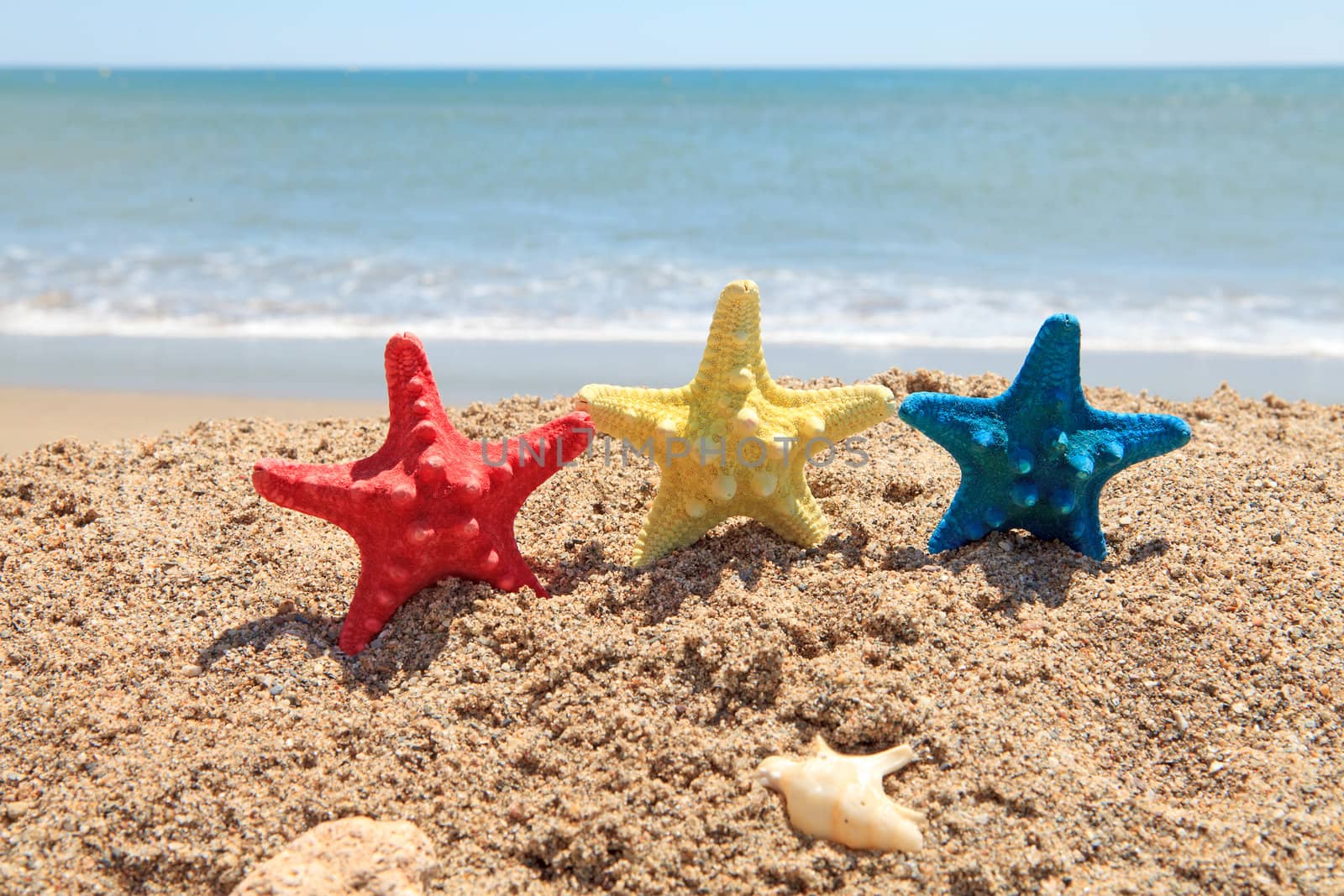 three colorful starfish and shells on the beach near the ocean on sunny day