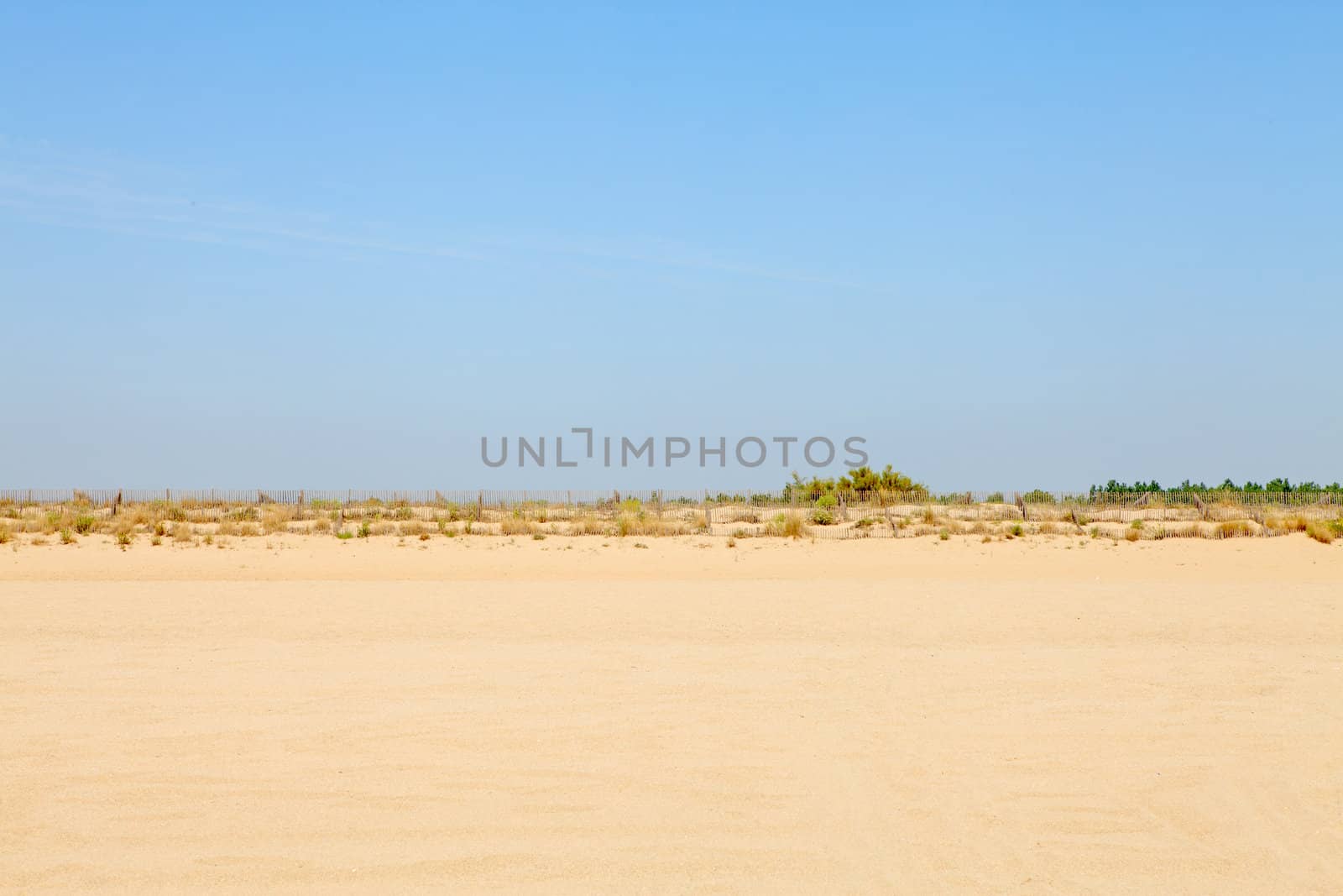 coastline with dunes, empty beach with blue sky