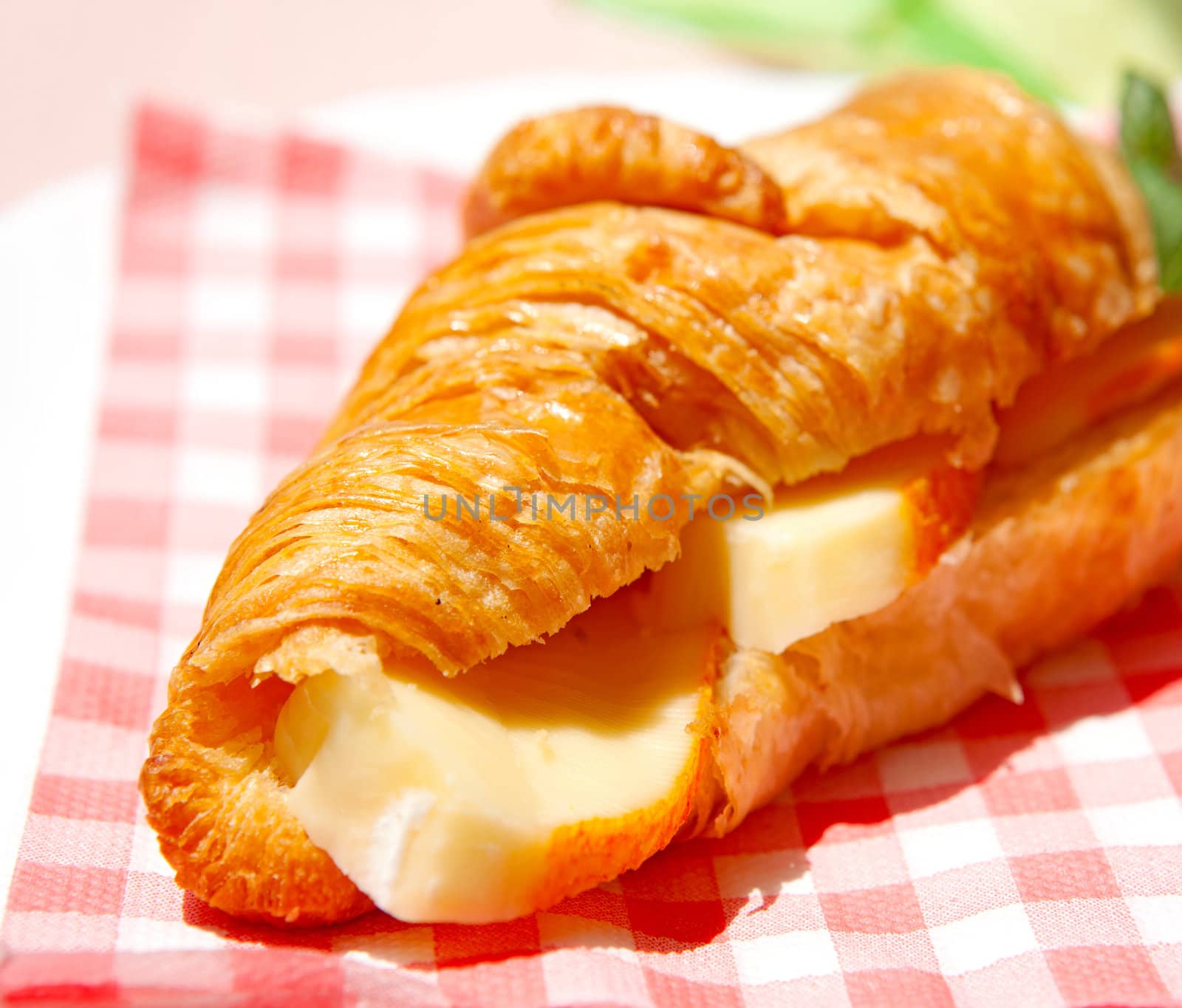 croissant sandwich with brie cheese on checkered napkin in sunshine