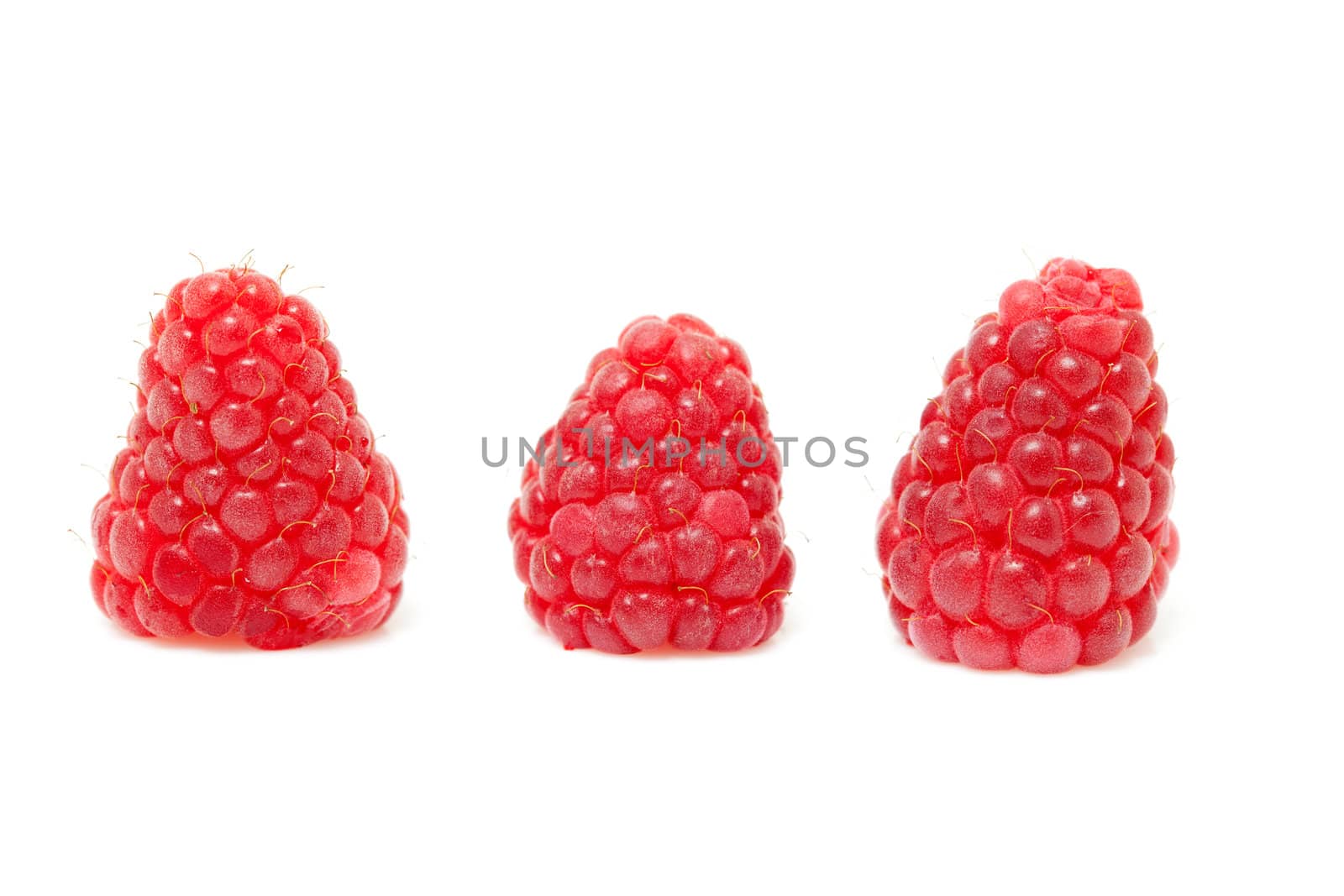three fresh raspberries in a row over white background