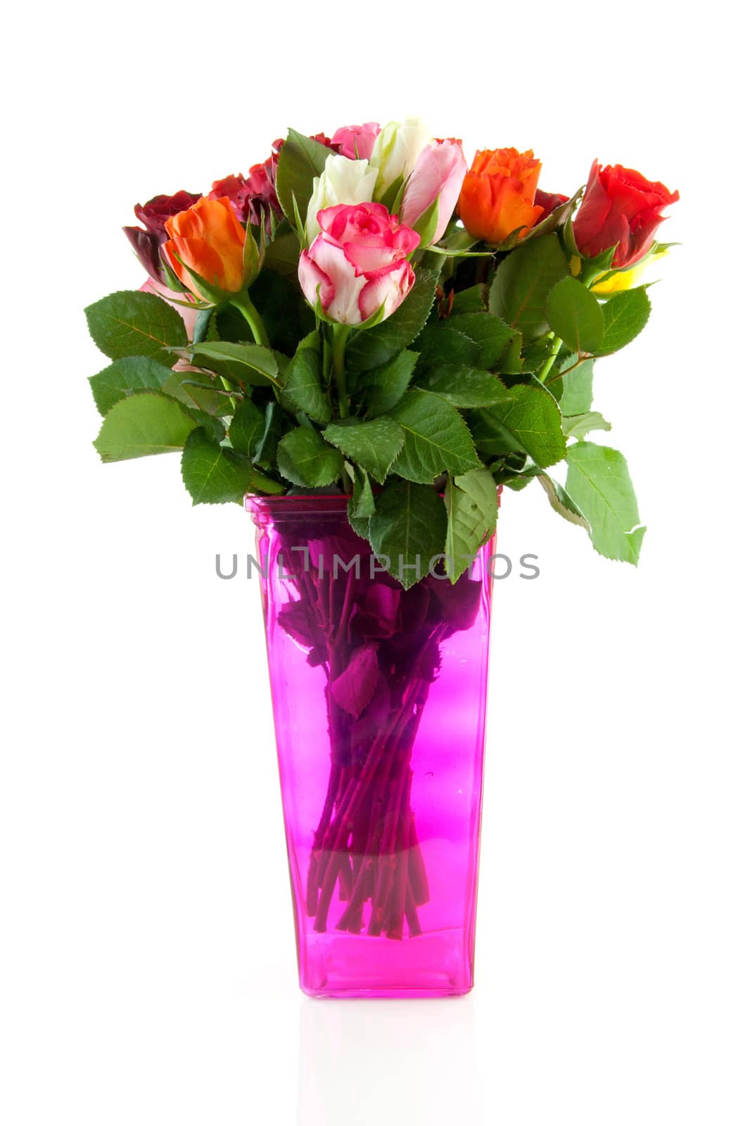Bouquet of colorful roses in pink vase over white background