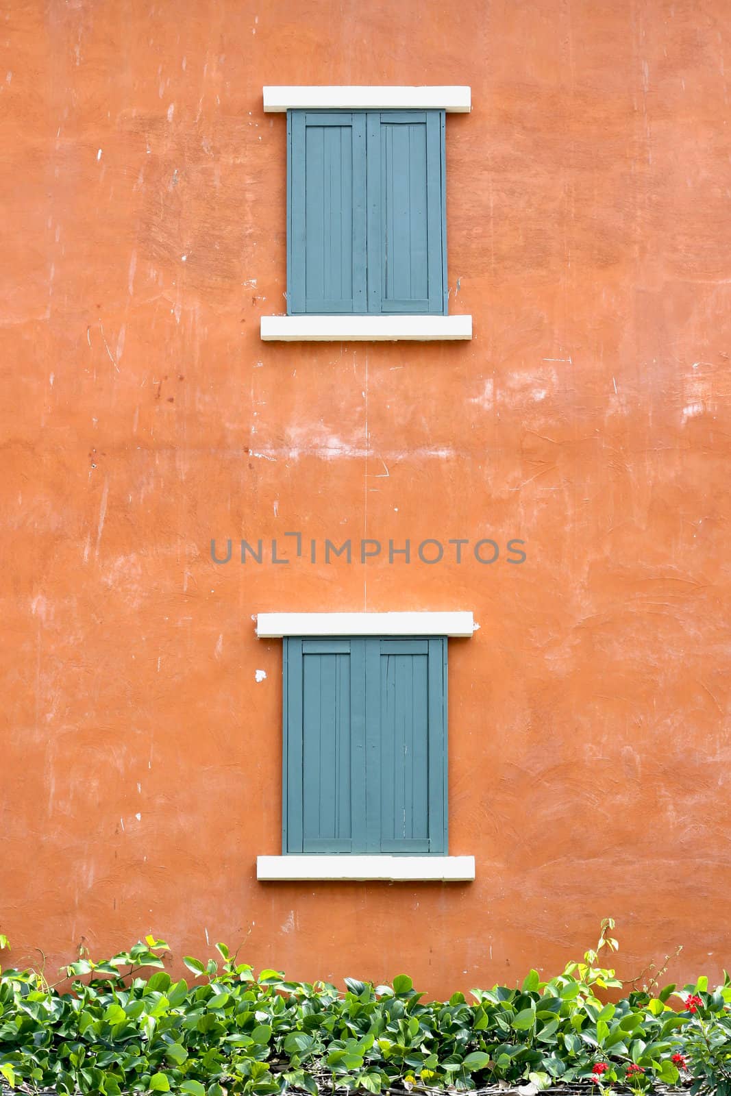 double old wooden window 
indigo blue color close on orange wall.