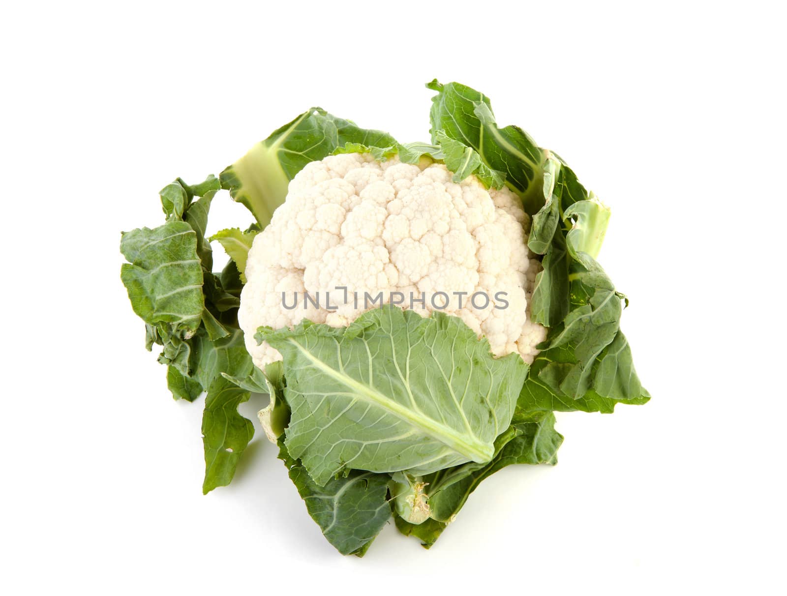 fresh dutch Cauliflower isolated on white background