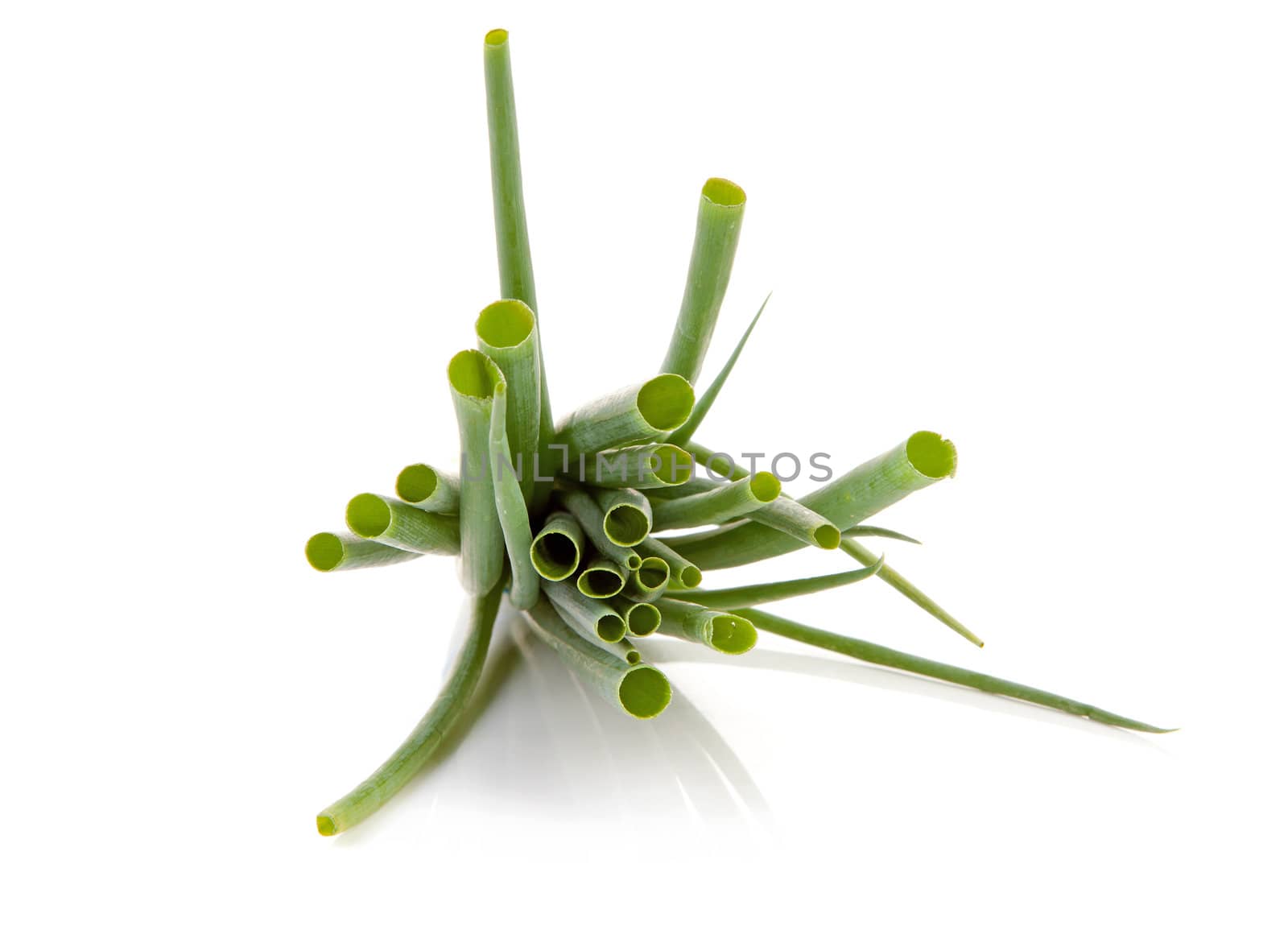 bunch of fresh spring onions over white background front