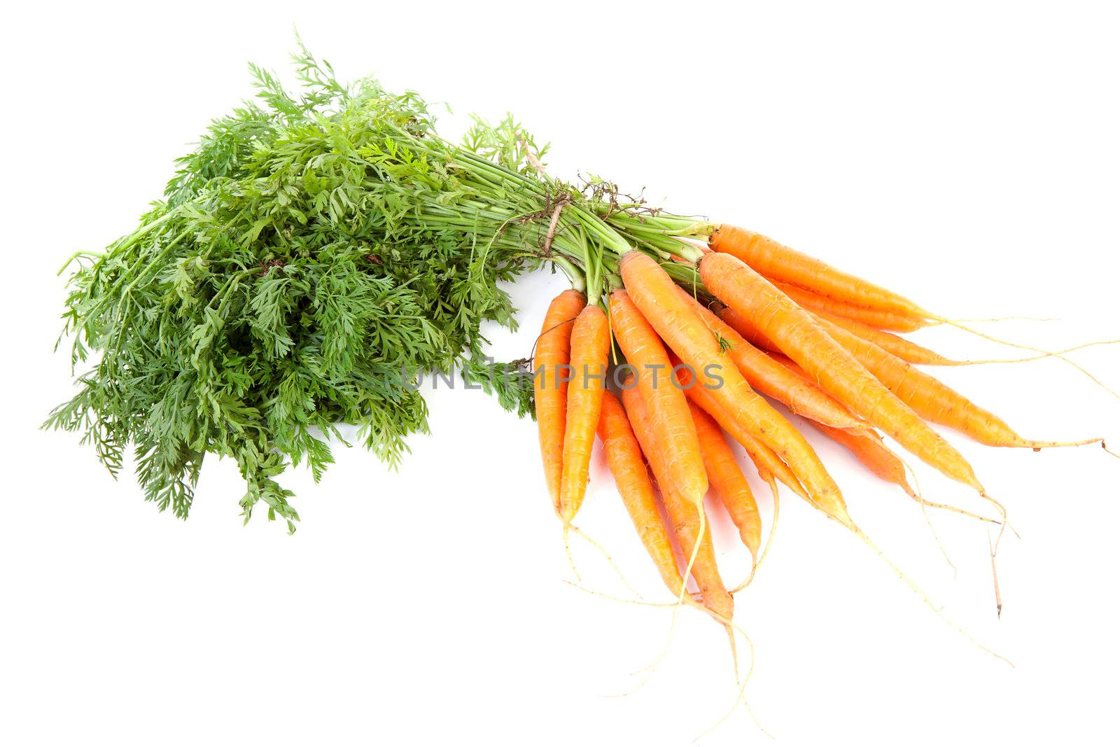 bunch of fresh carrots isolated on white background