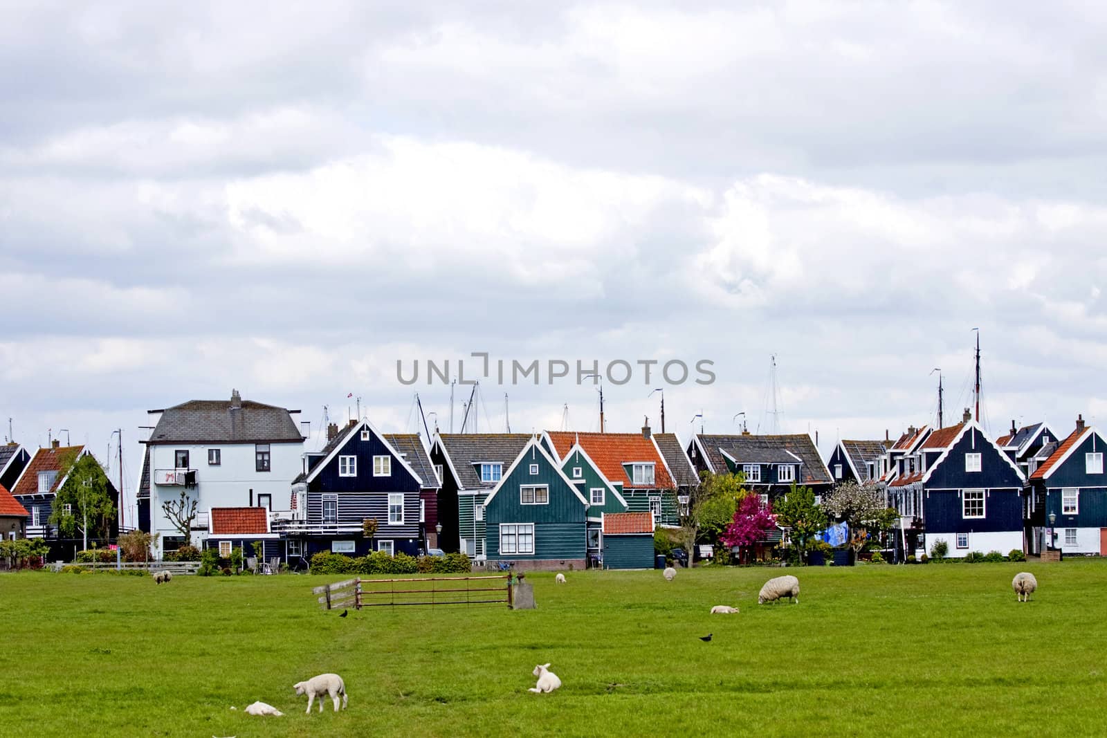 view over typical Dutch houses in the village Marken