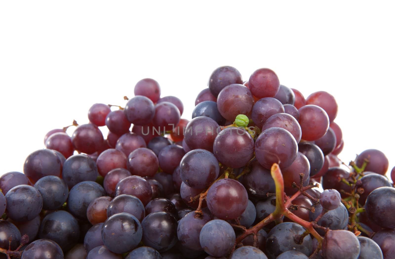 Pile of juicy fresh blue grapes over white background