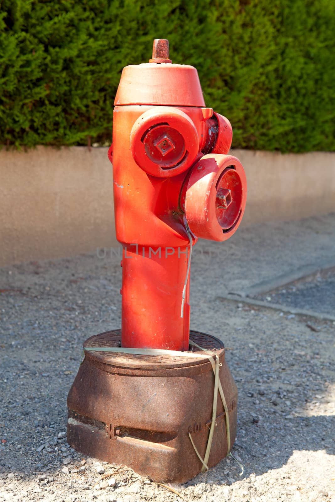 red fire hydrant in closeup on the street