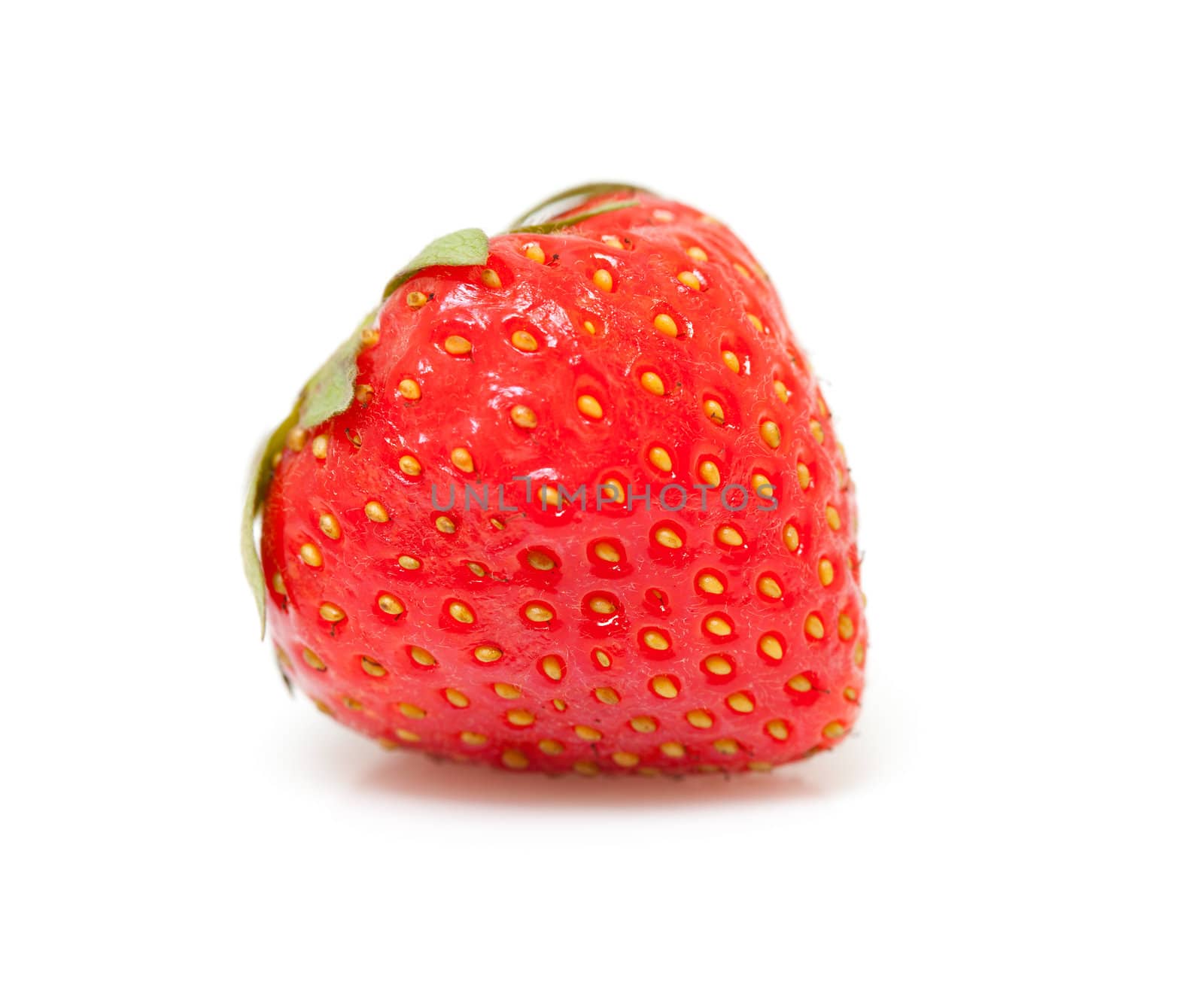 One fresh strawberry in closeup over white background