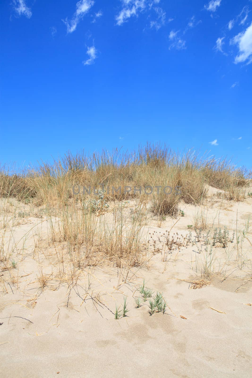 sand dunes in closeup against blue sky