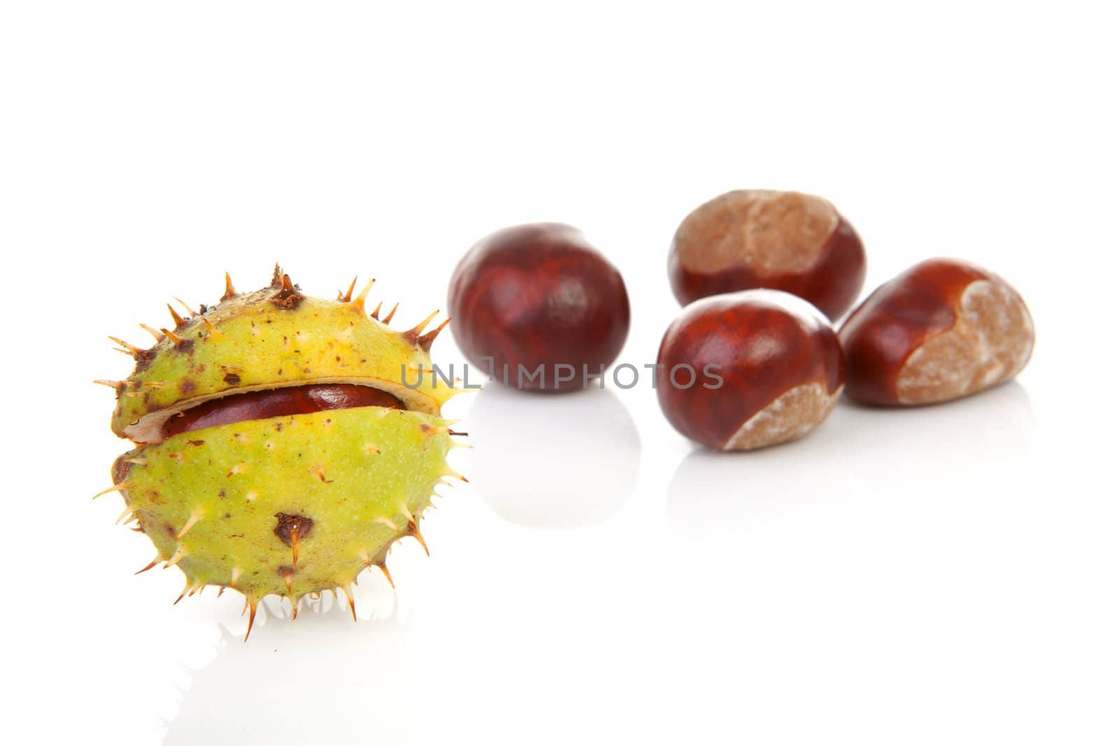 couple of chestnuts isolated on white background