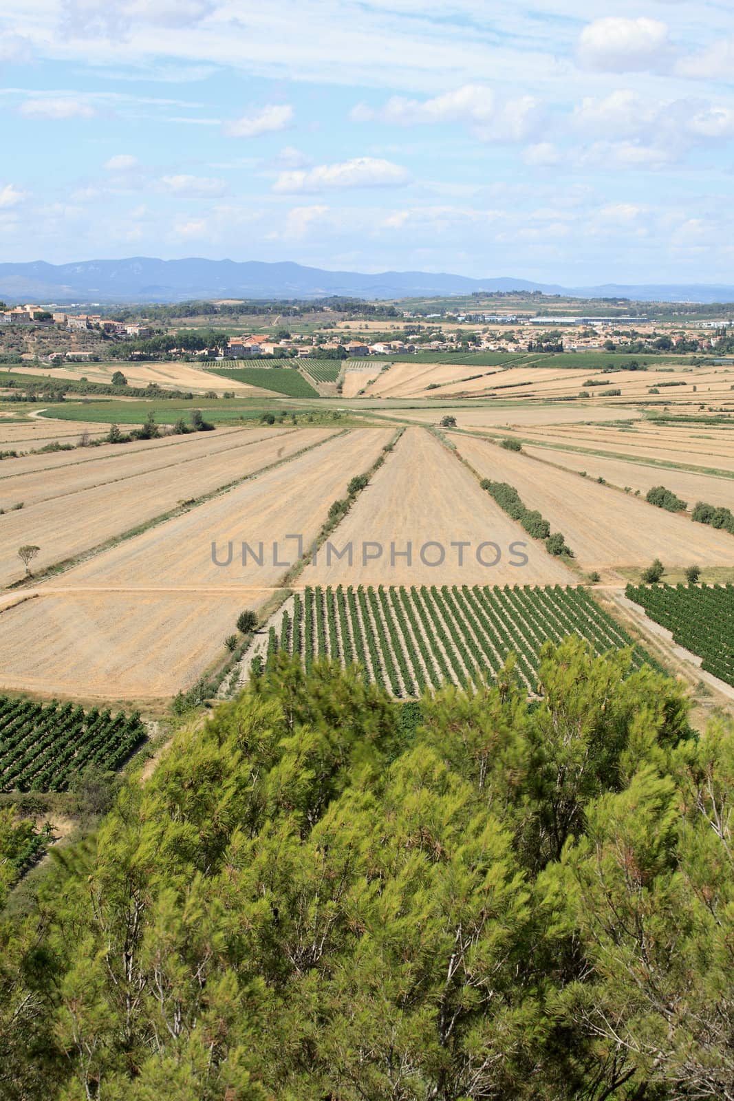 The Oppidum d'Ensérune is an ancient hill-town (or oppidum) near the village of Nissan-lez-Ensérune, France,