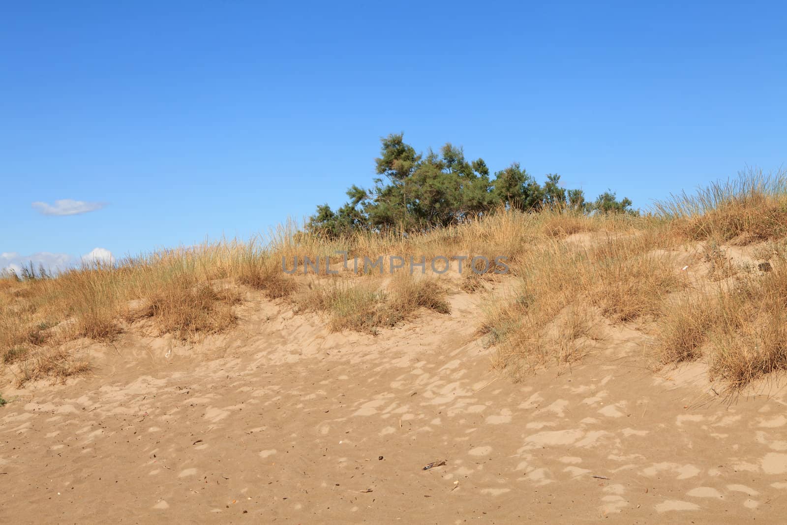 sand dunes against blue sky