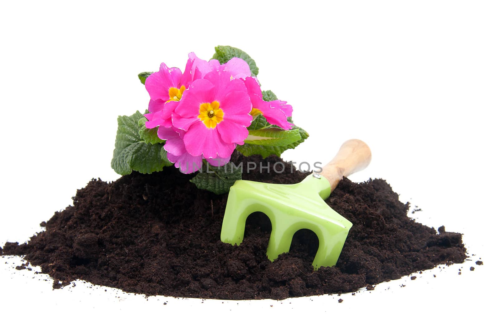 gardening with soil, tools and plants over white background