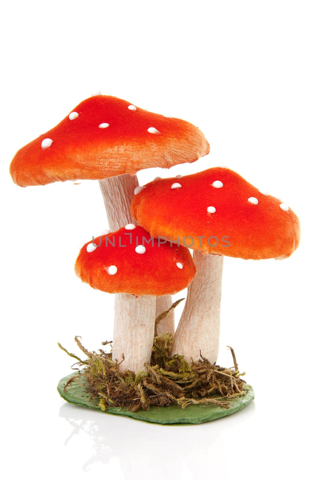 red dotted decoration mushrooms over white background