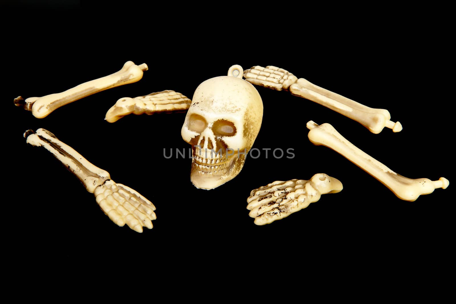 plastic human skull and bones isolated on black background