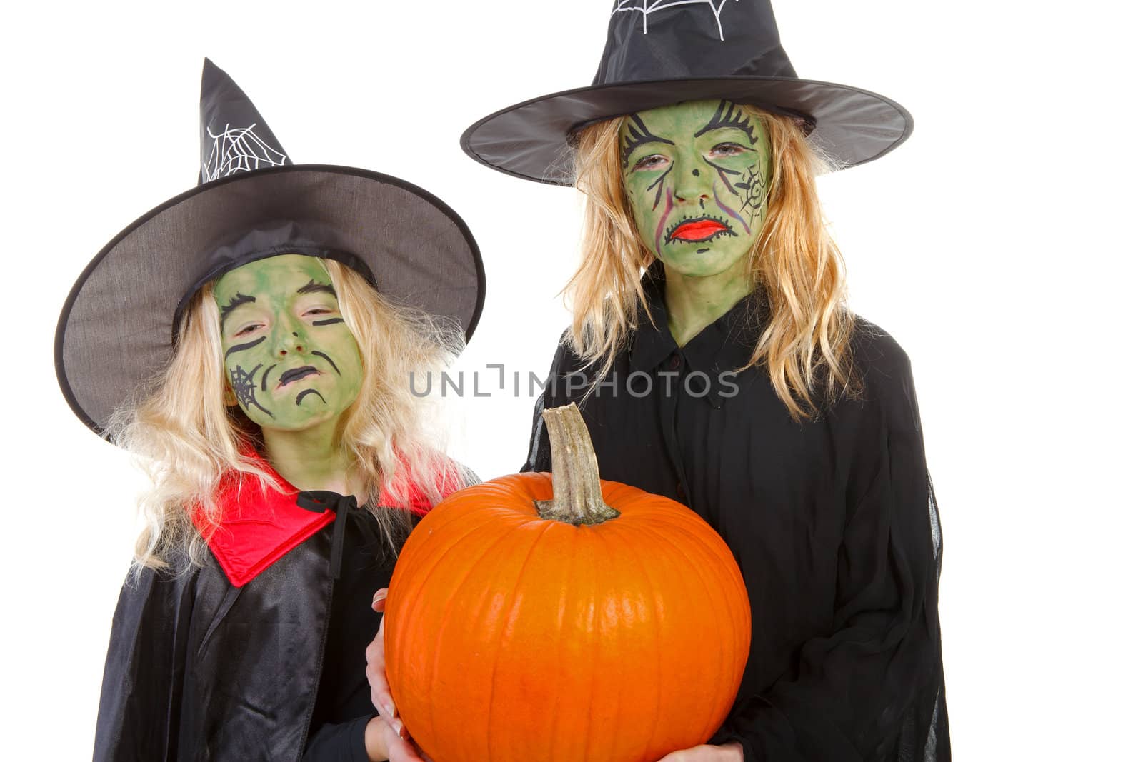 Scary green witches for Halloween with pumpkin over white background