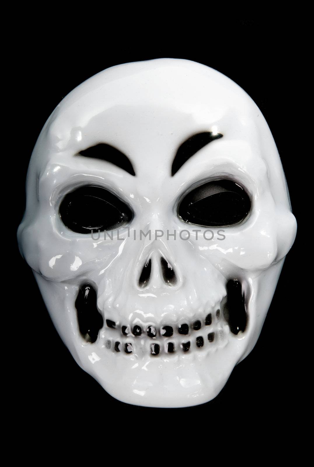 plastic human skul in closeupl isolated on black background