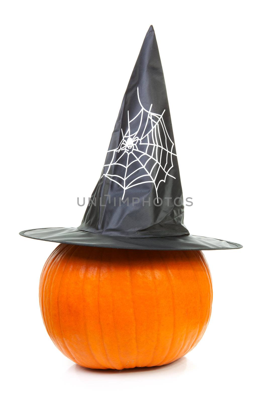 big pumpkin with black witch hat for halloween isolated on white background