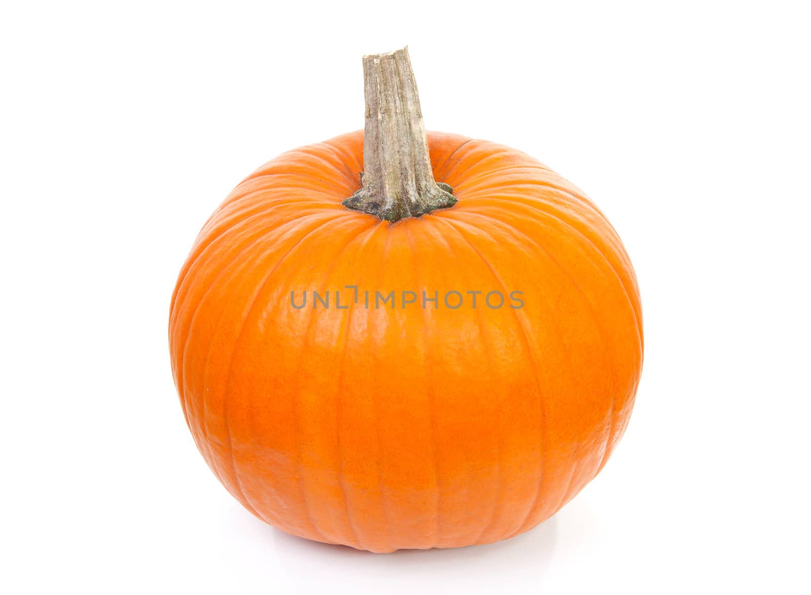 big orange pumpkin isolated on white background