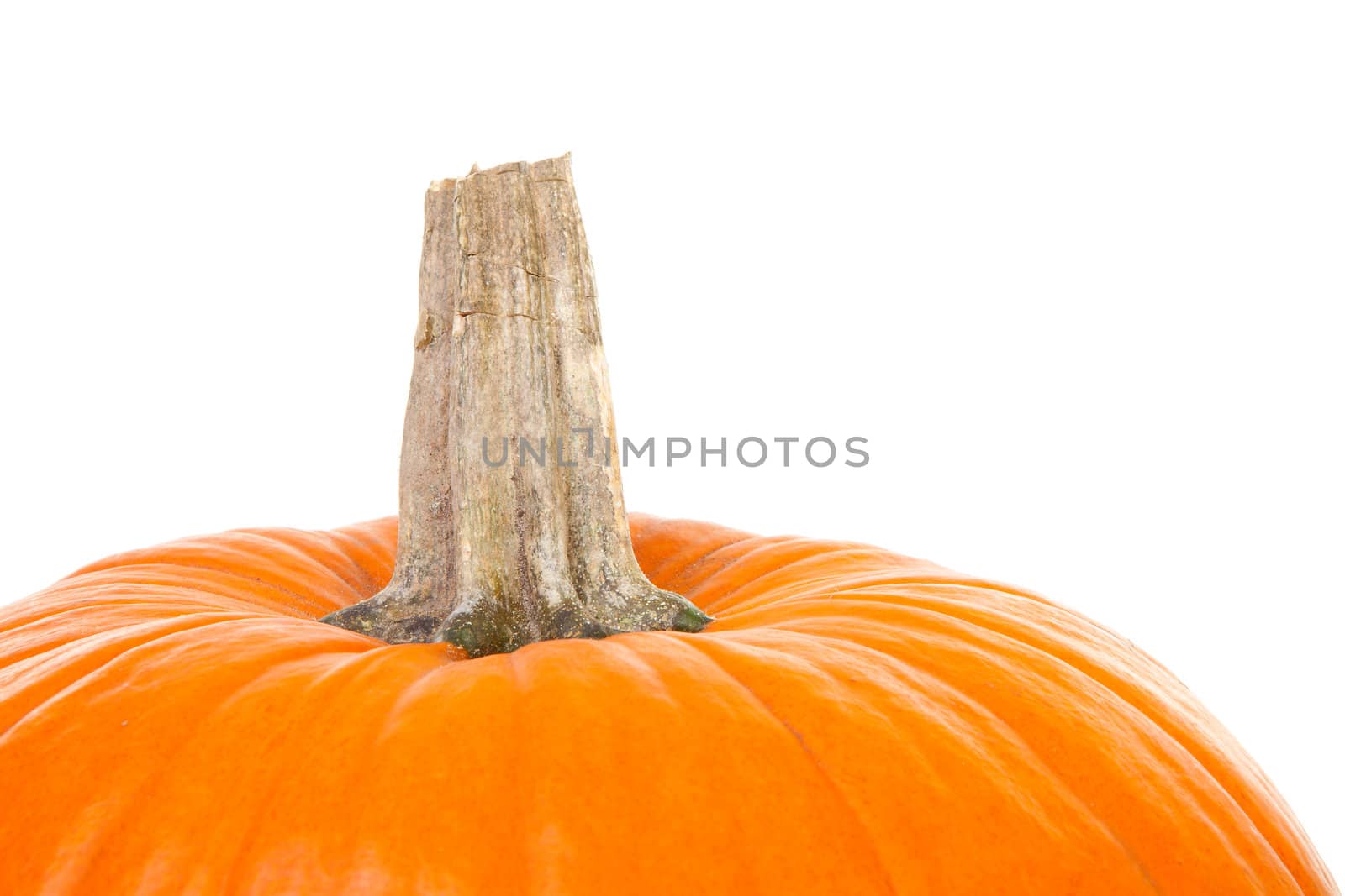 top of big orange pumpkin isolated on white background