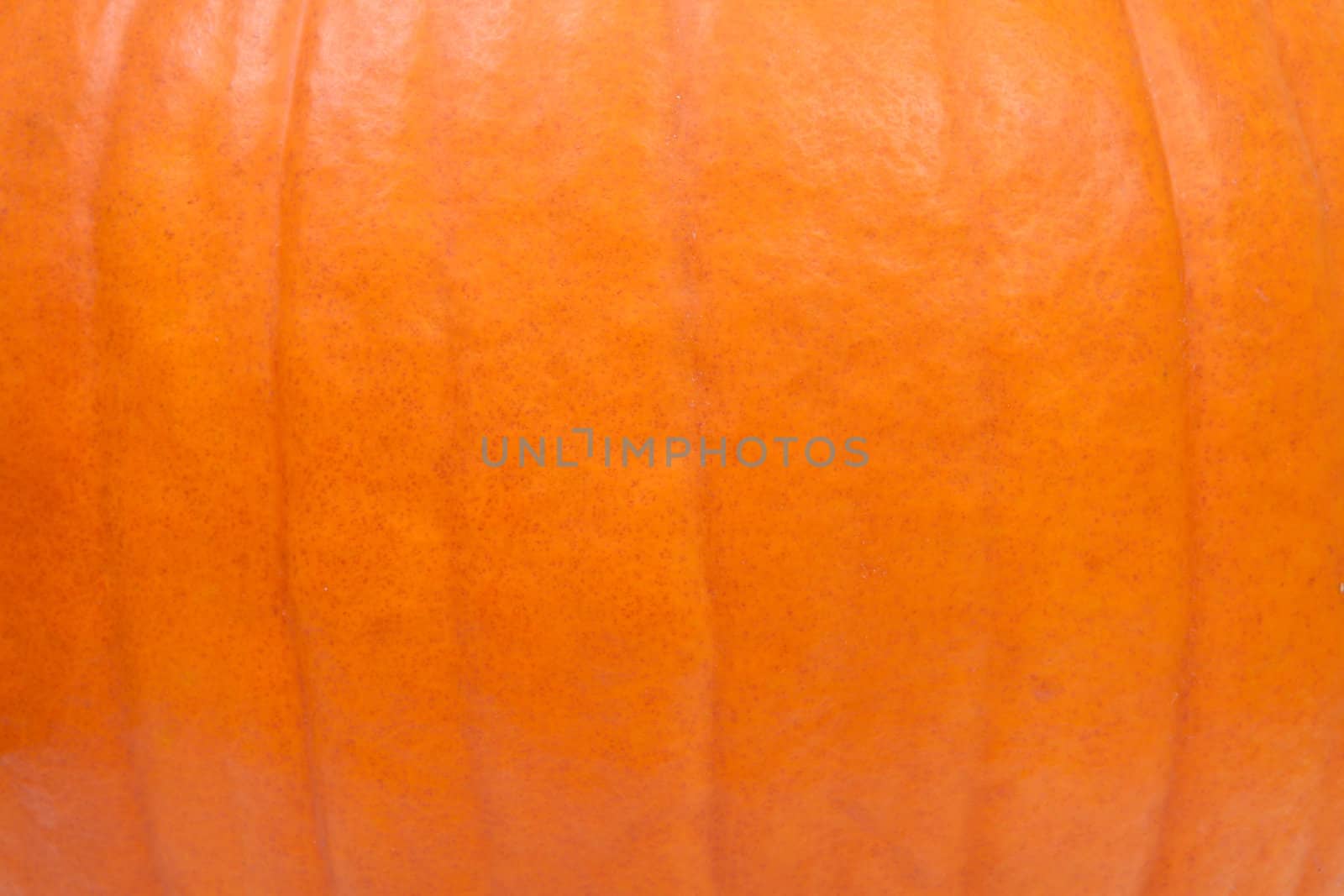 background of orange pumpkin in closeup