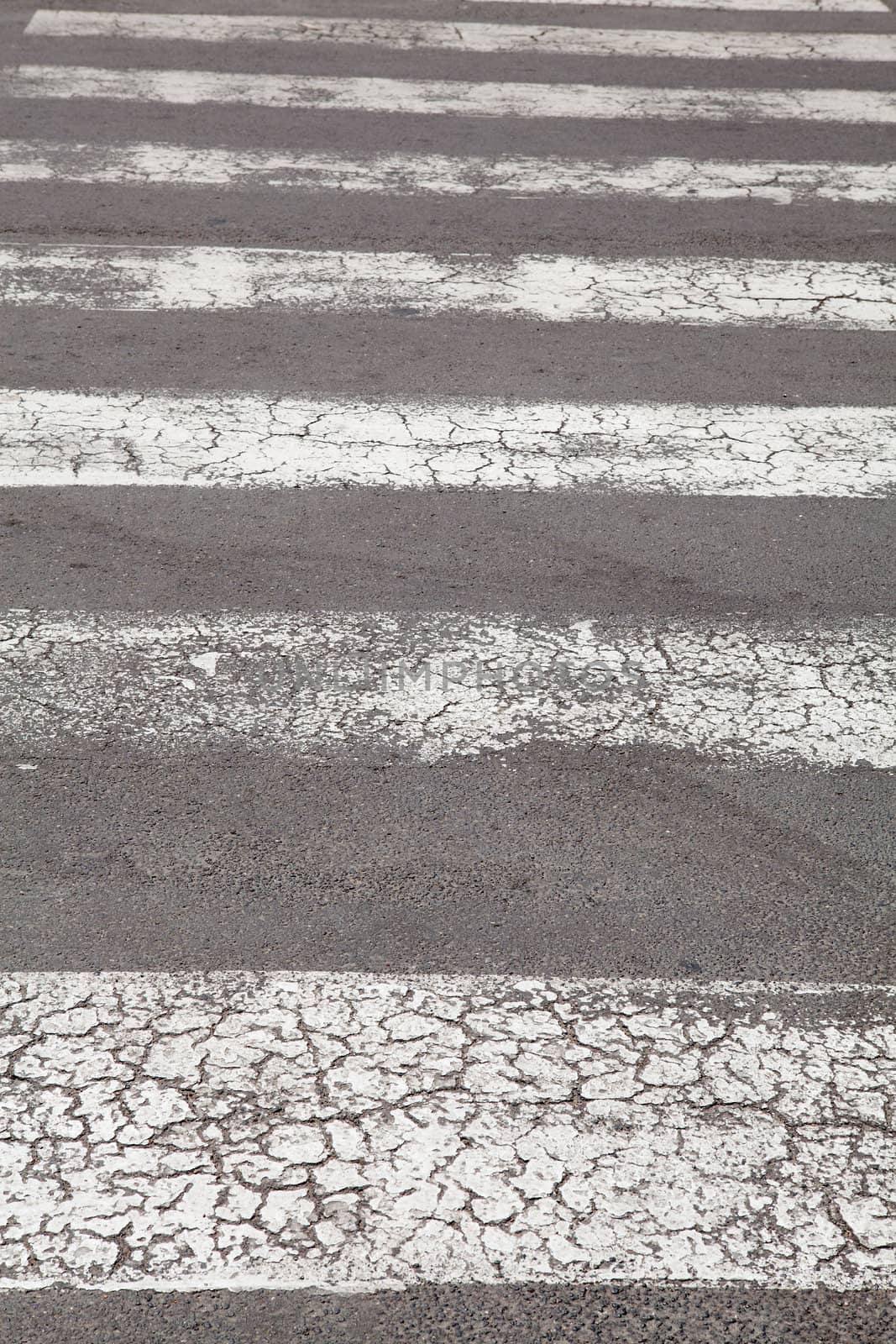 Zebra - pedestrian road in closeup