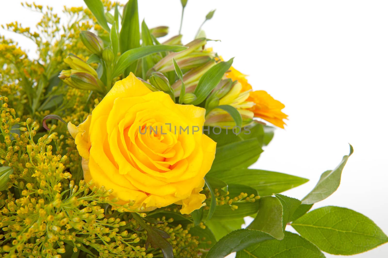 bouquet of yellow flowers with rose in closeup over white background