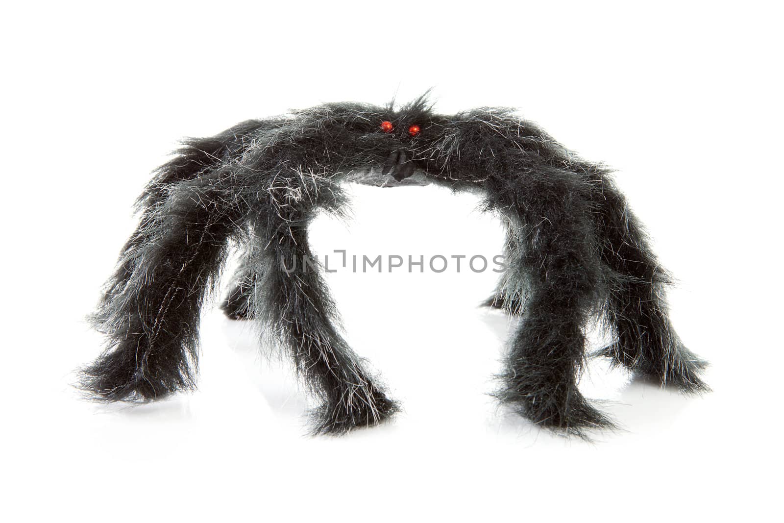scary black spider toy isolated on white background