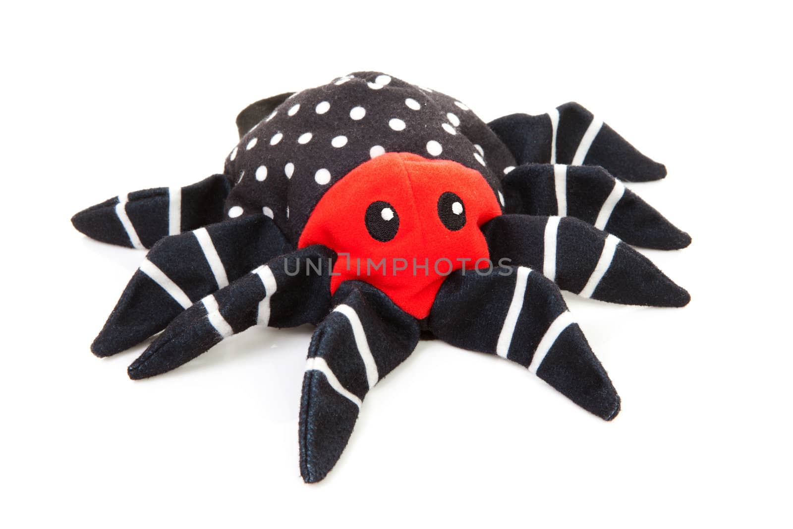 fabric black spider toy isolated on white background
