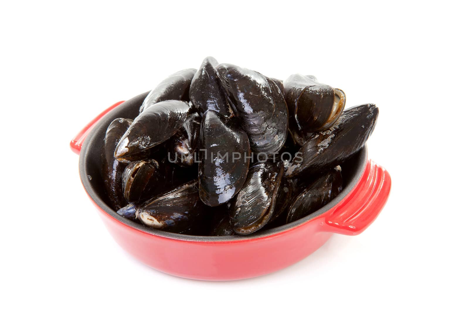 raw uncooked mussels in red casserole over white background