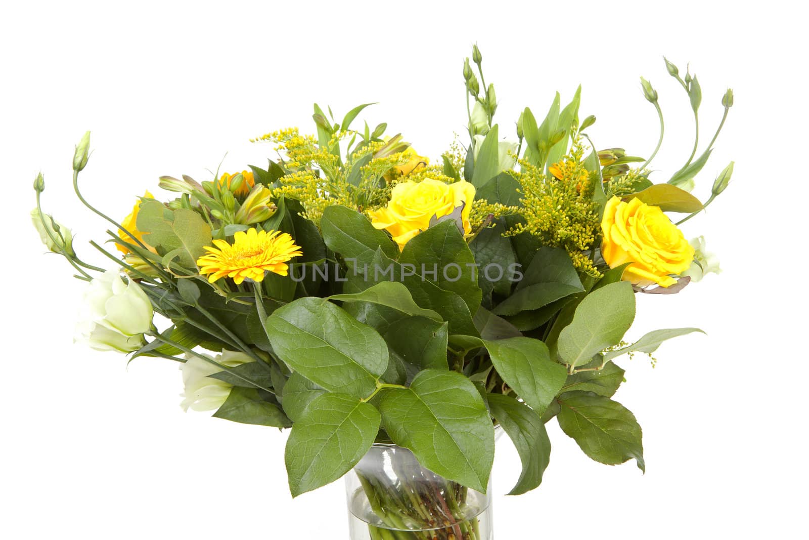 Bouquet of yellow flowers over white background