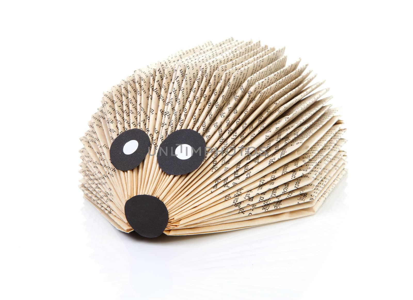 hedgehog made of book by child over white backgorund