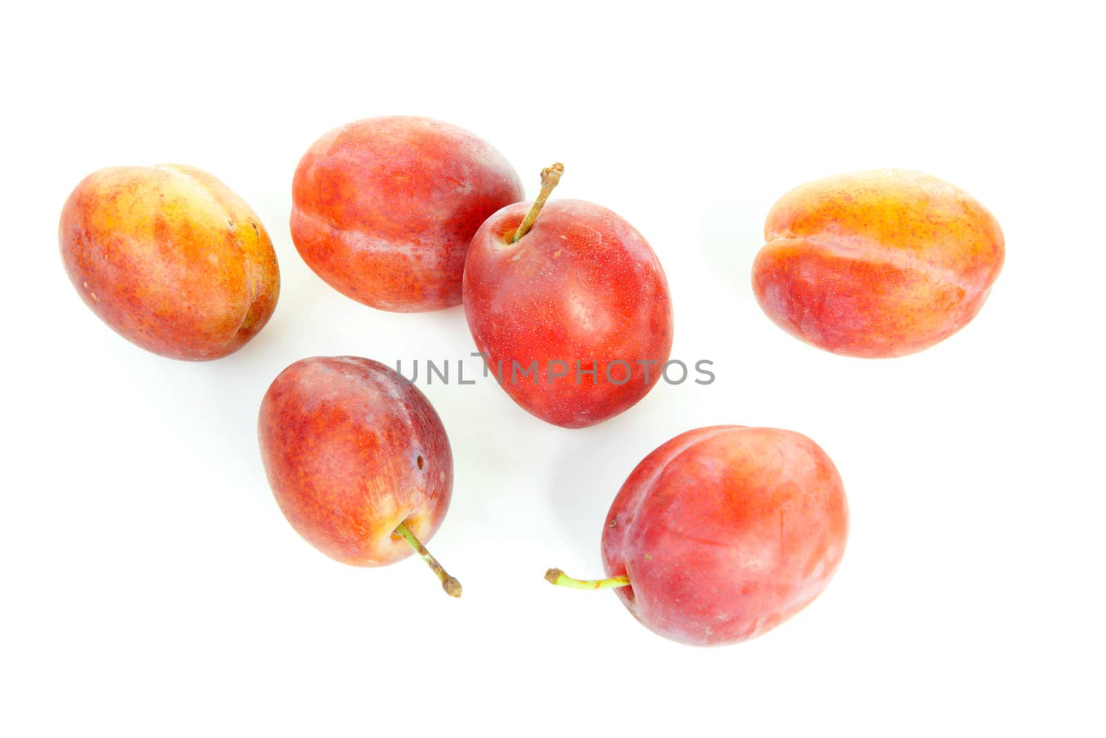 couple of healthy plums over white background