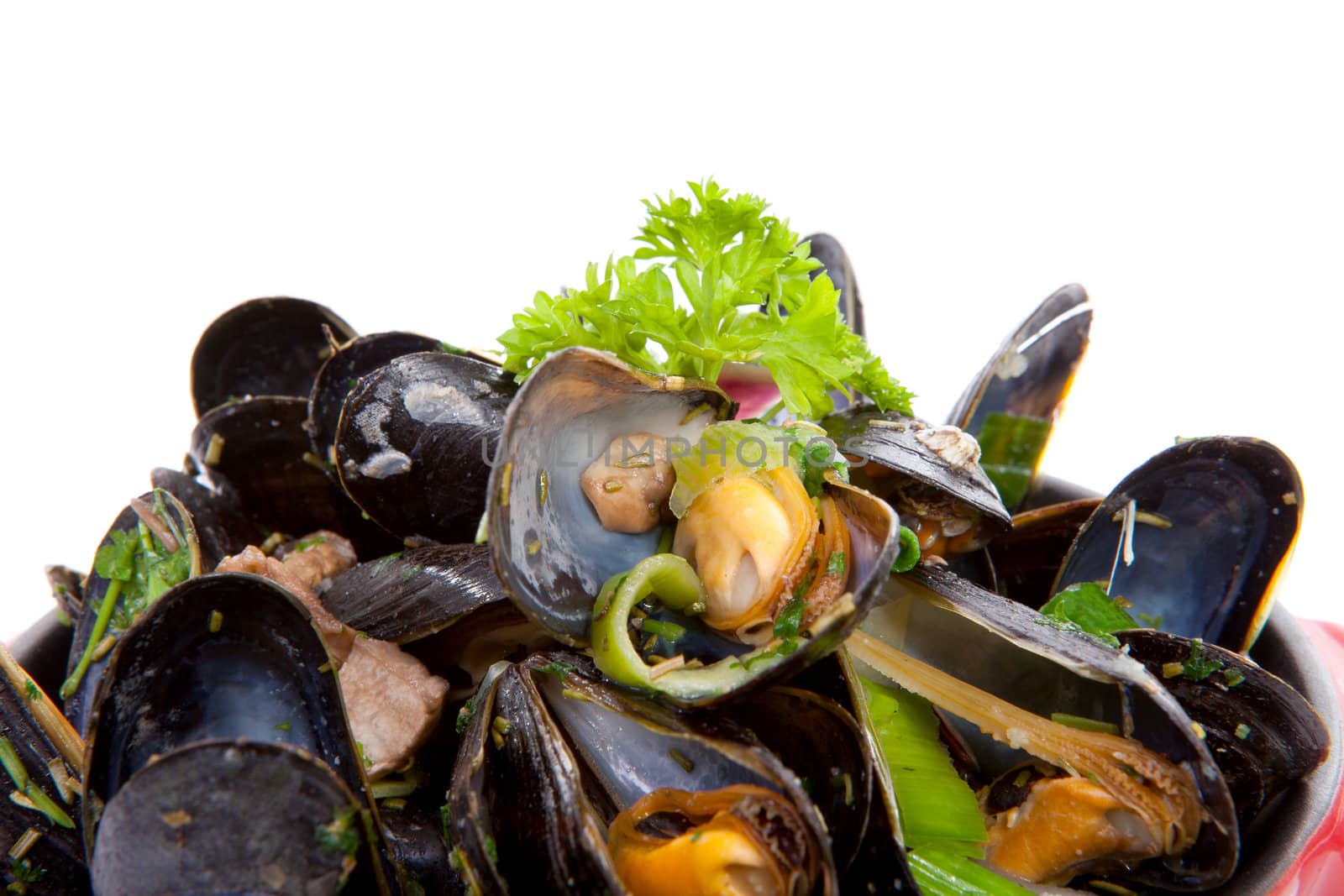 pile of cooked mussels in red casserole over white background