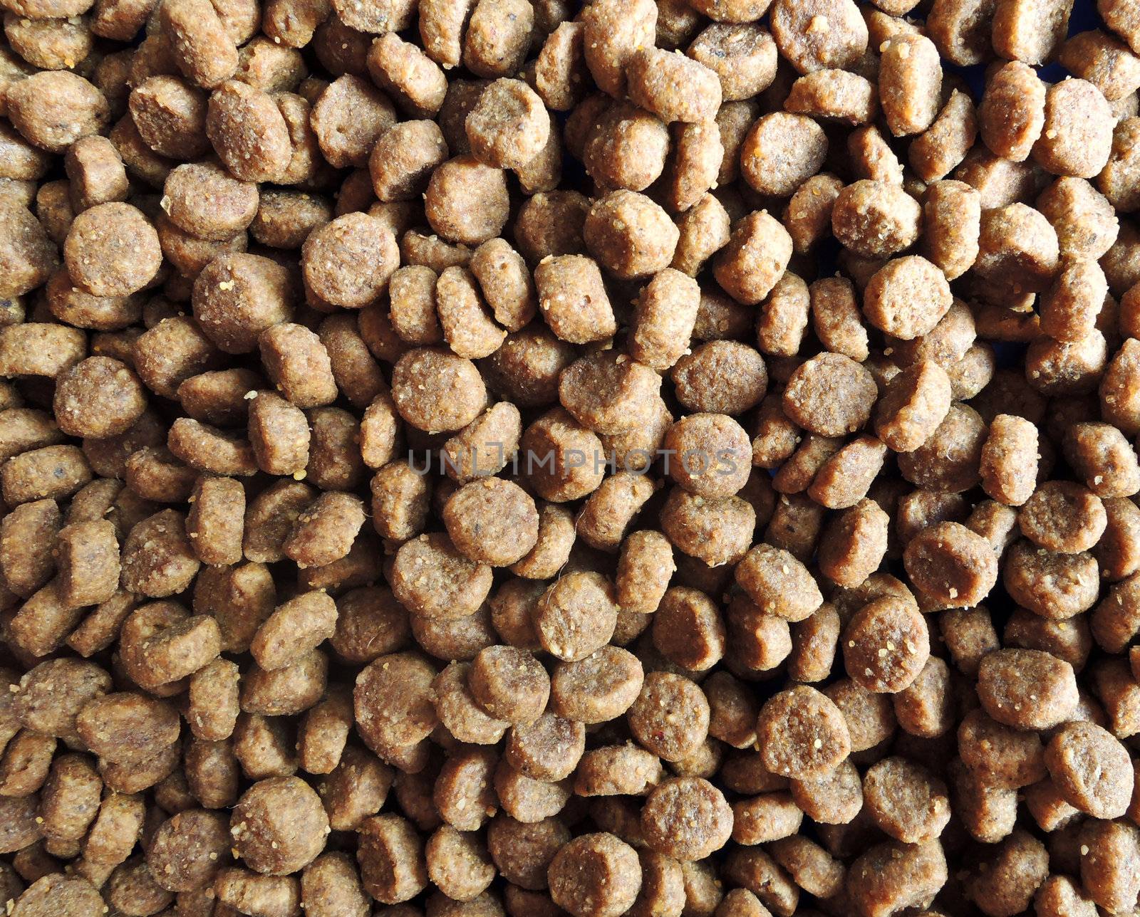 Dog food macro background