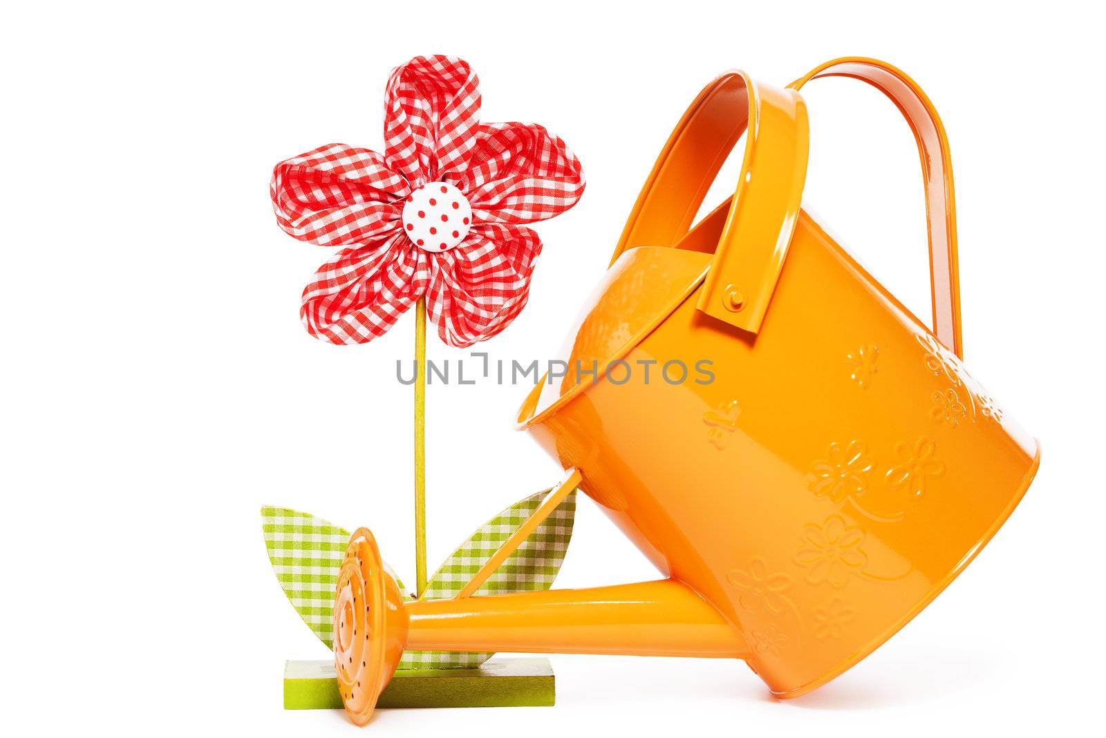 red easter drape flower with a orange watering can on white background