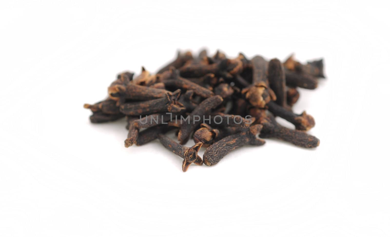 Cloves on white by ftlaudgirl