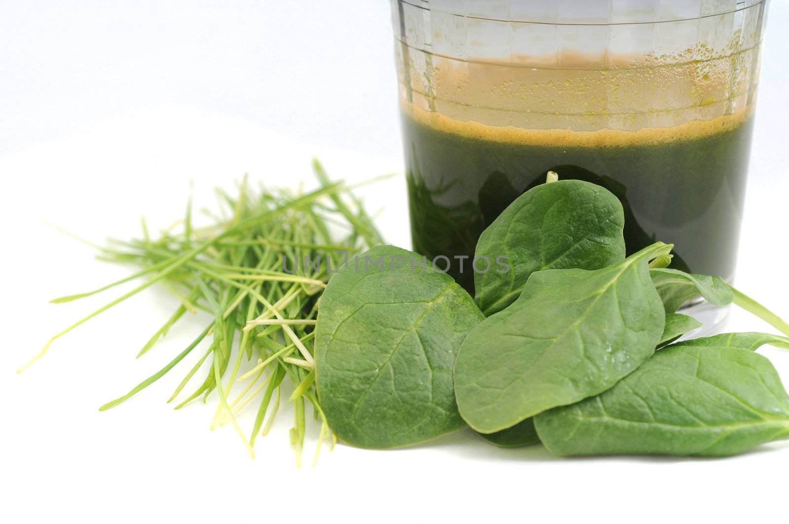 wheatgrass and spinach juice by ftlaudgirl